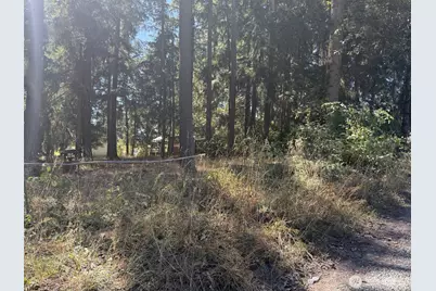 32217 65th Avenue Ct SW, Roy, WA 98580 - Photo 9