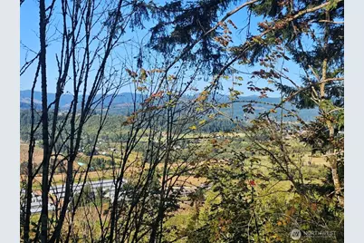 218 Bowen Road #84, Mossyrock, WA 98564 - Photo 5