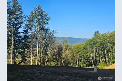 218 Bowen Road #84, Mossyrock, WA 98564 - Photo 3
