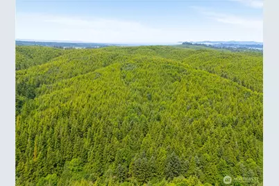 0 Mudd Lane, Astoria, OR 97103 - Photo 7