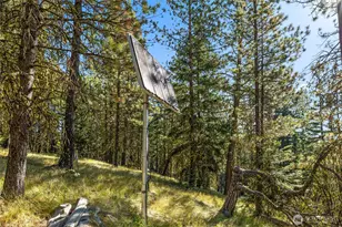 330 Eagle Rd, Cle Elum, WA 98922 - Photo 15