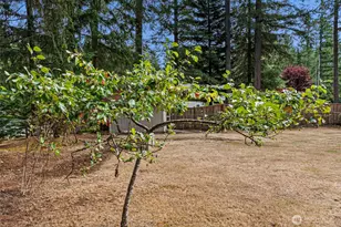 3821 Firdrona Dr NW, Gig Harbor, WA 98332 - Photo 19