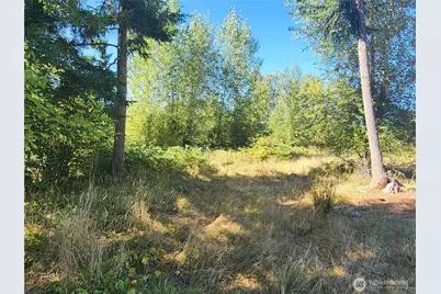 31208 Lebor Devore Road E, Eatonville, WA 98328 - Photo 7
