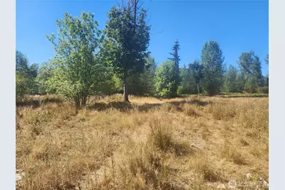 31208 Lebor Devore Road E, Eatonville, WA 98328 - Photo 13