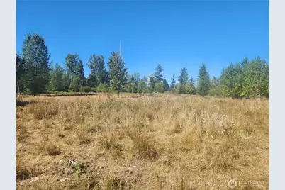31208 Lebor Devore Road E, Eatonville, WA 98328 - Photo 15