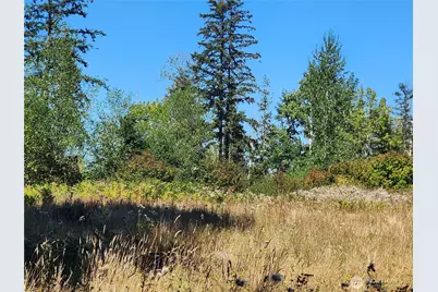 31208 Lebor Devore Road E, Eatonville, WA 98328 - Photo 9
