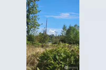 31208 Lebor Devore Road E, Eatonville, WA 98328 - Photo 3