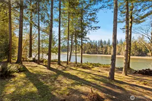 730 SE Nelson Rd, Shelton, WA 98584 - Photo 35