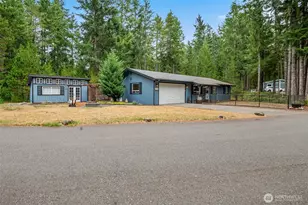 20 N Buckhorn Ct, Hoodsport, WA 98548 - Photo 1
