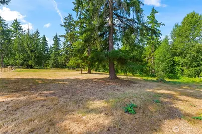 34618 50th Avenue S, Roy, WA 98580 - Photo 7