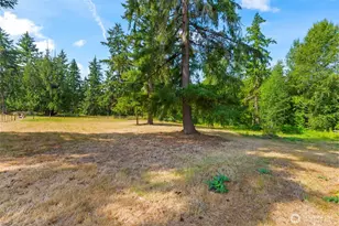 34618 50th Ave S, Roy, WA 98580 - Photo 7