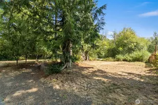 90 E Park Loop, Shelton, WA 98584 - Photo 35