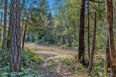33 N Rainbow Way W, Hoodsport, WA 98548 - Photo 7