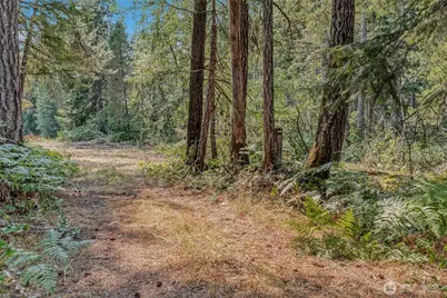 33 N Rainbow Way W, Hoodsport, WA 98548 - Photo 13