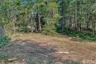 33 N Rainbow Way W, Hoodsport, WA 98548 - Photo 9