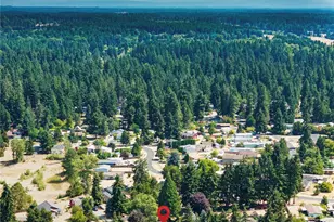 8610 Sequoia Ct SE, Yelm, WA 98597 - Photo 33