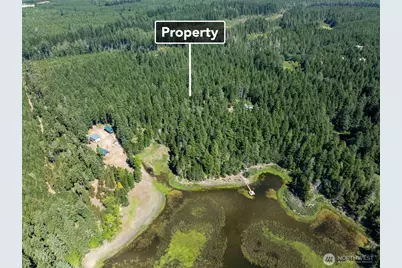 2531 W Hanks Lake Road, Shelton, WA 98584 - Photo 5