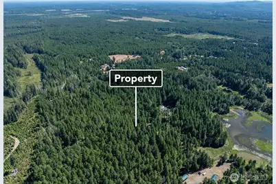 2531 W Hanks Lake Road, Shelton, WA 98584 - Photo 31