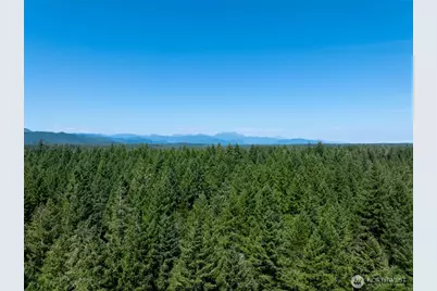 2531 W Hanks Lake Road, Shelton, WA 98584 - Photo 25