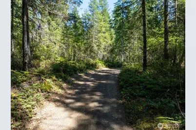 2531 W Hanks Lake Road, Shelton, WA 98584 - Photo 15