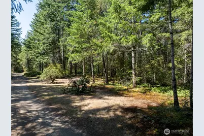 2461 W Hanks Lake Road, Shelton, WA 98584 - Photo 3