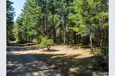 2461 W Hanks Lake Road, Shelton, WA 98584 - Photo 19