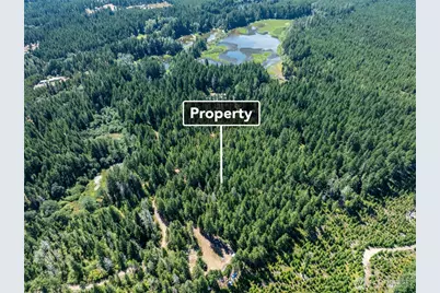 2461 W Hanks Lake Road, Shelton, WA 98584 - Photo 13