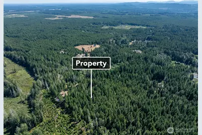 2461 W Hanks Lake Road, Shelton, WA 98584 - Photo 5