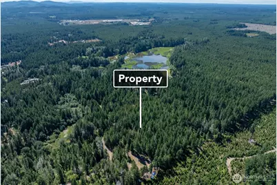 2461 W Hanks Lake Road, Shelton, WA 98584 - Photo 9