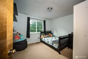 13814 214th St E, Graham, WA 98338 - Photo 25
