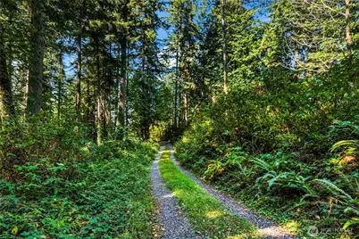 37218 Loki Bluff Drive NE, Hansville, WA 98340 - Photo 5