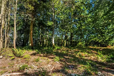 37218 Loki Bluff Drive NE, Hansville, WA 98340 - Photo 19