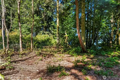 37218 Loki Bluff Drive NE, Hansville, WA 98340 - Photo 17