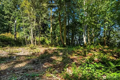 37218 Loki Bluff Drive NE, Hansville, WA 98340 - Photo 11