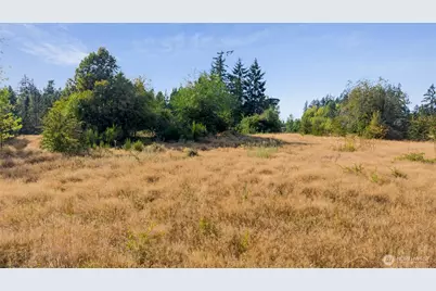 2826 76th Avenue NE, Olympia, WA 98506 - Photo 11
