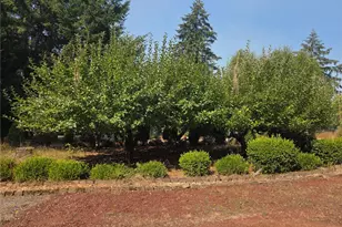 19505 NE 112th St, Brush Prairie, WA 98606 - Photo 27