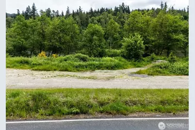 0 Apn-009 Orville Road E, Eatonville, WA 98328 - Photo 17