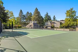 6341 Sand Point Way NE, Seattle, WA 98115 - Photo 15