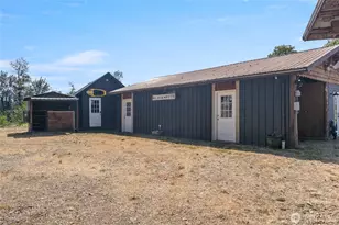 111 Jaybird Ln, Brinnon, WA 98320 - Photo 31