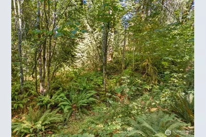 0 Tenino Drive W, Bremerton, WA 98312 - Photo 17