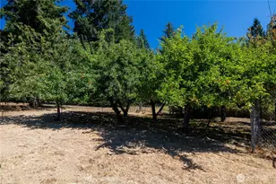 4110 Baker Ames Rd NE, Olympia, WA 98506 - Photo 37
