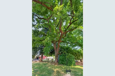 10807 61st Street Ct E, Puyallup, WA 98372 - Photo 11
