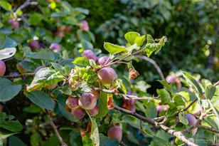 1500 Carol St, Camano Island, WA 98282 - Photo 29