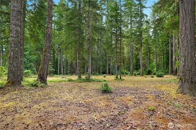 370 E Strong Road, Shelton, WA 98584 - Photo 31