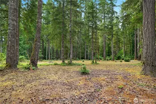 370 E Strong Rd, Shelton, WA 98584 - Photo 31