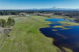 12649 Bald Hill Rd SE, Yelm, WA 98597 - Photo 13