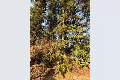 15620 Goldbar Drive, Gold Bar, WA 98251 - Photo 1