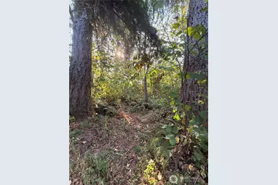 15620 Goldbar Drive, Gold Bar, WA 98251 - Photo 9