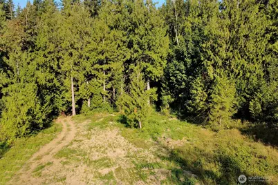 0 N Pass Road, Everson, WA 98295 - Photo 9