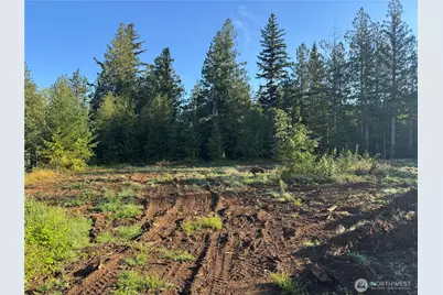 0 N Pass Road, Everson, WA 98295 - Photo 7
